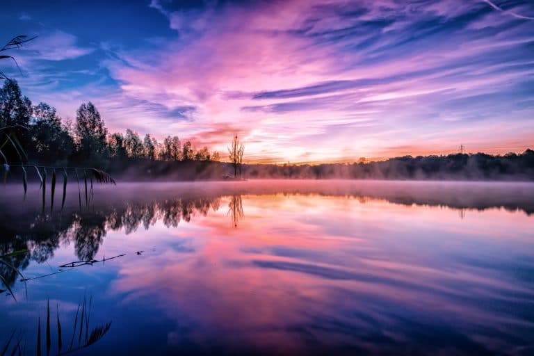 Höhenfelder See, Cologne Germany | GURU'S TOP PICK WINNER 20.02.2021