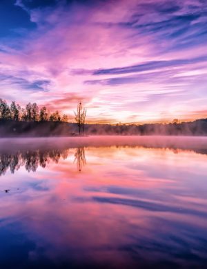 Курс фотография (теория и практика)